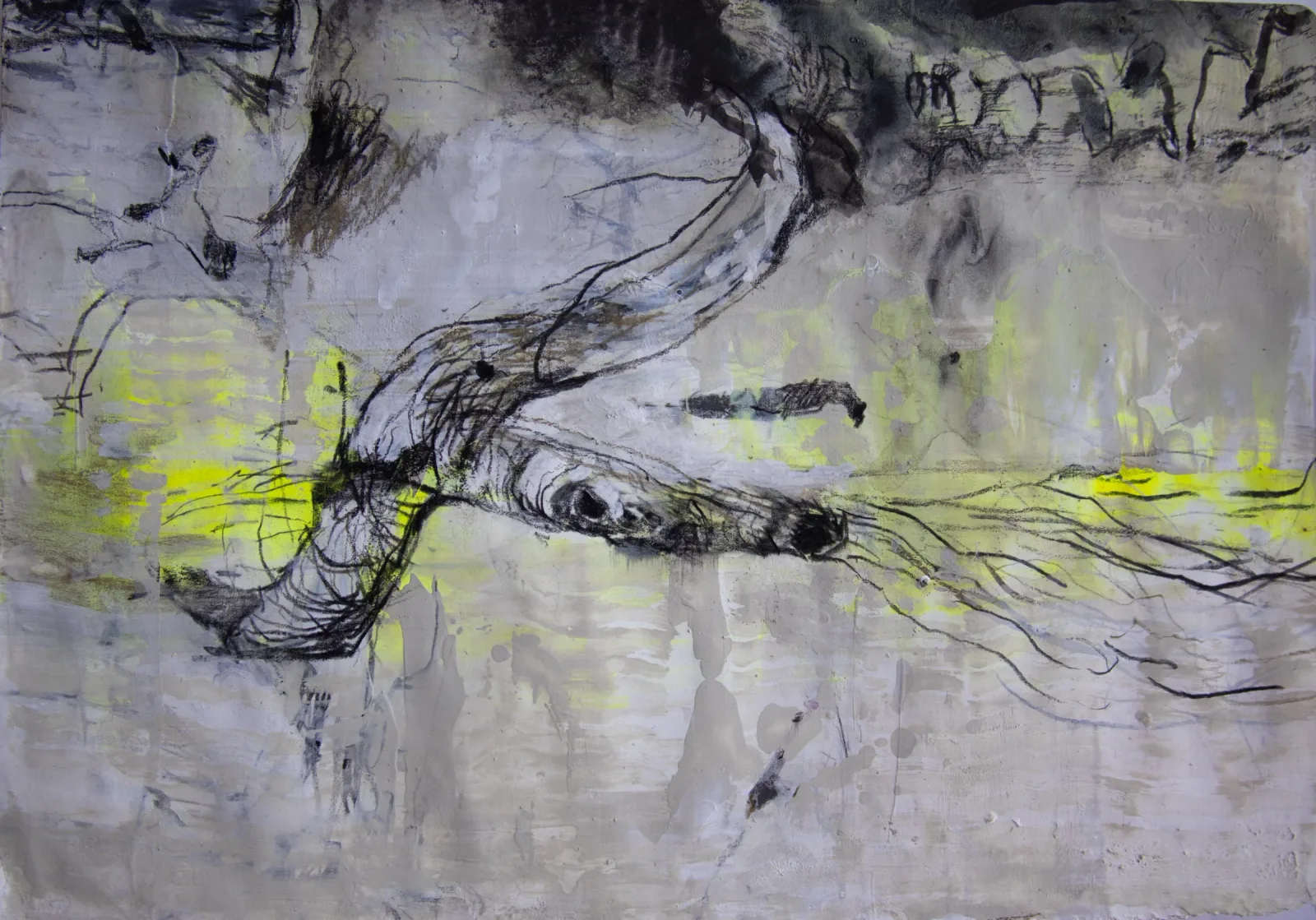 Drawings from a kayak